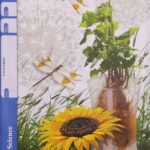 Grade 5 – Accelerated Education Enterprises