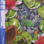 Grade 5 – Accelerated Education Enterprises