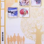 3rd Ed. Math Pace 1010 (S.A) (11/18)