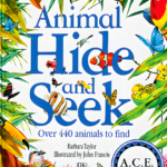 Animal Hide and Seek  (Sample)